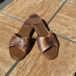 Brown Snake-Texture Slide Sandals - Women Stuart Weizmann